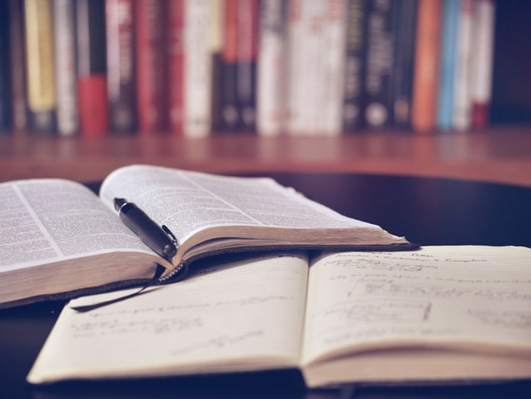 Deux livres ouverts avec en fond une bibliothèque